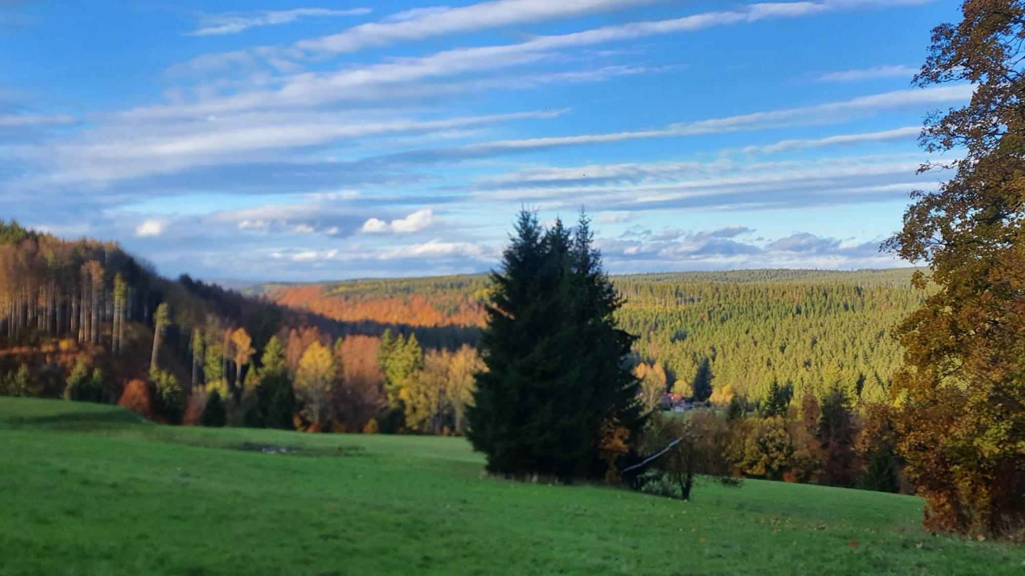 Chata Zieleniecka Duszniki Zdroj Bagian luar foto