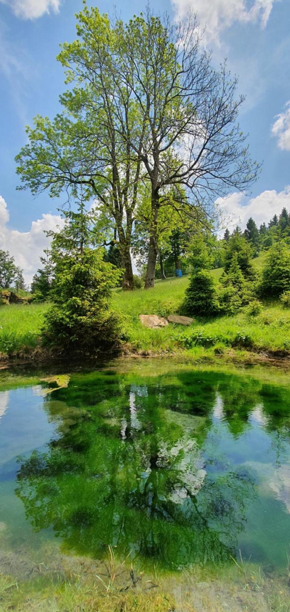 Chata Zieleniecka Duszniki Zdroj Bagian luar foto
