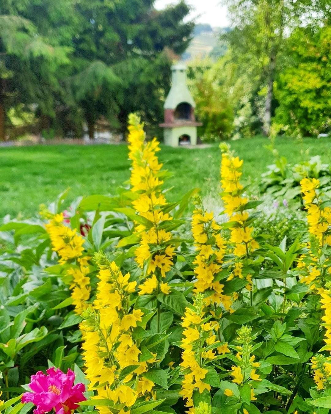 Chata Zieleniecka Duszniki Zdroj Bagian luar foto